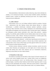 Verslo etikos funkcionalumas 11 puslapis