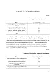 Verslo etikos funkcionalumas 14 puslapis