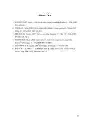 Verslo etikos funkcionalumas 17 puslapis