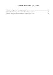 Verslo etikos funkcionalumas 2 puslapis