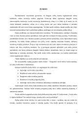 Verslo etikos funkcionalumas 3 puslapis