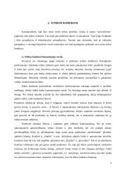 Verslo etikos funkcionalumas 8 puslapis