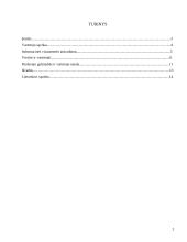 Verslo ir vartotojo sąlytis 2 puslapis