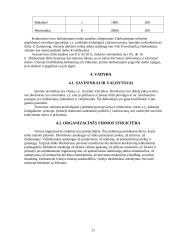 Verslo planas: automobilių remontas 11 puslapis