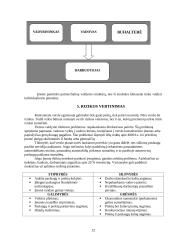 Verslo planas: automobilių remontas 12 puslapis