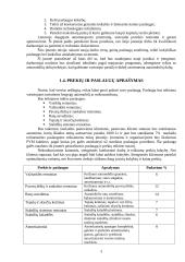 Verslo planas: automobilių remontas 3 puslapis