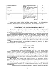 Verslo planas: automobilių remontas 4 puslapis