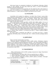 Verslo planas: automobilių remontas 9 puslapis