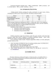 Verslo planas: automobilių remontas 10 puslapis