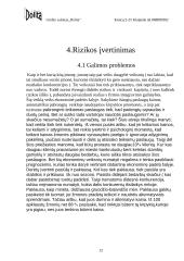 Verslo planas: grožio salonas "Dolita" 12 puslapis