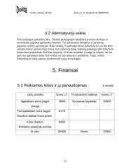 Verslo planas: grožio salonas "Dolita" 13 puslapis