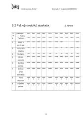 Verslo planas: grožio salonas "Dolita" 14 puslapis