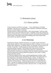 Verslo planas: grožio salonas "Dolita" 8 puslapis