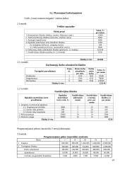 Verslo planas: laivų variklių remontas UAB "Uosto remonto bigada" 19 puslapis