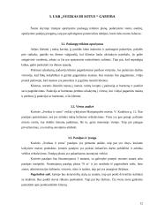 Verslo planas: sveiko maisto kavinė "Sveikas  ir sotus" 11 puslapis