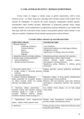 Verslo planas: sveiko maisto kavinė "Sveikas  ir sotus" 15 puslapis