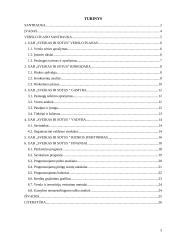 Verslo planas: sveiko maisto kavinė "Sveikas  ir sotus" 2 puslapis