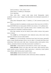 Verslo planas: sveiko maisto kavinė "Sveikas  ir sotus" 4 puslapis