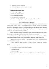 Verslo planas: sveiko maisto kavinė "Sveikas  ir sotus" 6 puslapis