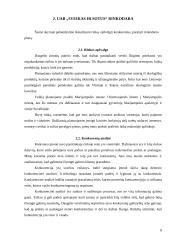 Verslo planas: sveiko maisto kavinė "Sveikas  ir sotus" 7 puslapis