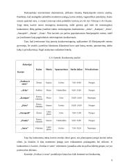 Verslo planas: sveiko maisto kavinė "Sveikas  ir sotus" 8 puslapis