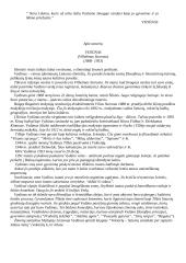 Vydūnas "Amžina ugnis" 4 puslapis