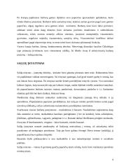 Viduramžių vakarų Europos teisė 4 puslapis