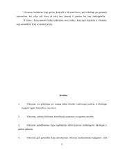 Vikrumas. Vikrumo ugdymo metodika 12 puslapis