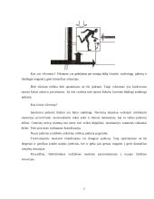 Vikrumas. Vikrumo ugdymo metodika 6 puslapis