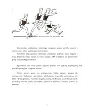 Vikrumas. Vikrumo ugdymo metodika 7 puslapis