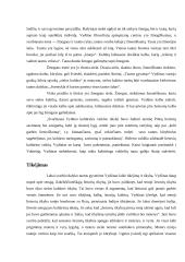 Vilius Storosta (Vydūnas) - biografija bei veikla 2 puslapis