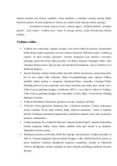 Vilius Storosta (Vydūnas) - biografija bei veikla 4 puslapis