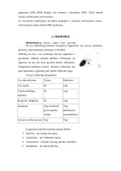 Virusai ir mikrobai 2 puslapis