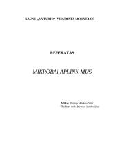 Virusai ir mikrobai 11 puslapis