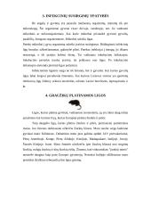 Virusai ir mikrobai 4 puslapis