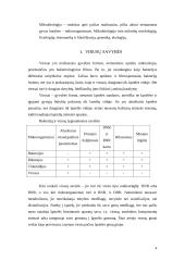 Virusų savybės, kilmė bei struktūra 4 puslapis