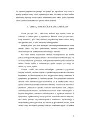 Virusų savybės, kilmė bei struktūra 6 puslapis