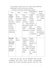 Virusų savybės, kilmė bei struktūra 7 puslapis