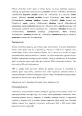 Visuomenės dalyvavimas sportiniame judėjime 11 puslapis