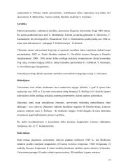 Visuomenės dalyvavimas sportiniame judėjime 13 puslapis