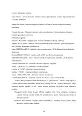 XXVIII vasaros olimpinės žaidynės Graikijoje 14 puslapis