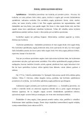 Žiedų apdulkinimas bičių pagalba 3 puslapis