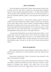 Žiedų apdulkinimas bičių pagalba 9 puslapis