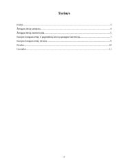 Žmogaus teisės Europos Sąjungos kontekste 2 puslapis