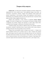 Žmogaus teisės Europos Sąjungos kontekste 4 puslapis