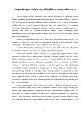 Žmogaus teisės Europos Sąjungos kontekste 7 puslapis