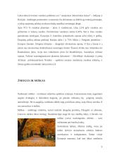 Žmogaus ir gamtos tarpusavio ryšys 5 puslapis