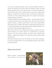 Žmogaus ir gamtos tarpusavio ryšys 9 puslapis