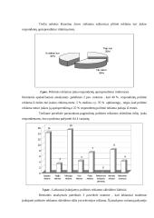 Politinė reklama: studentų nuomonių analizė 12 puslapis
