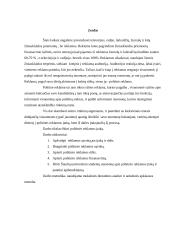 Politinė reklama: studentų nuomonių analizė 3 puslapis